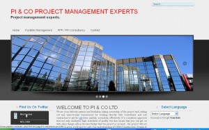 Project Managers